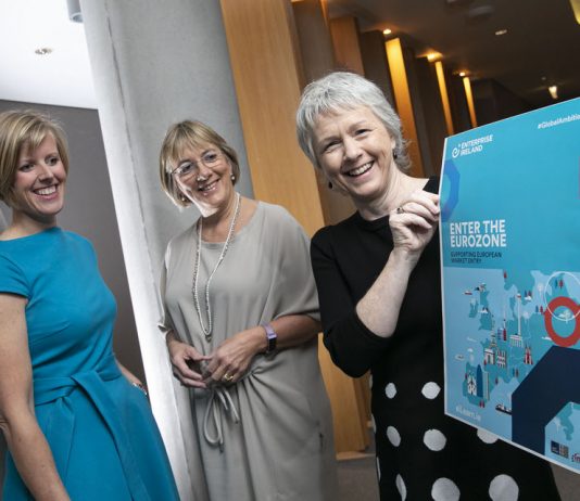 Enterprise Ireland launches a new "Enter the Eurozone" programme